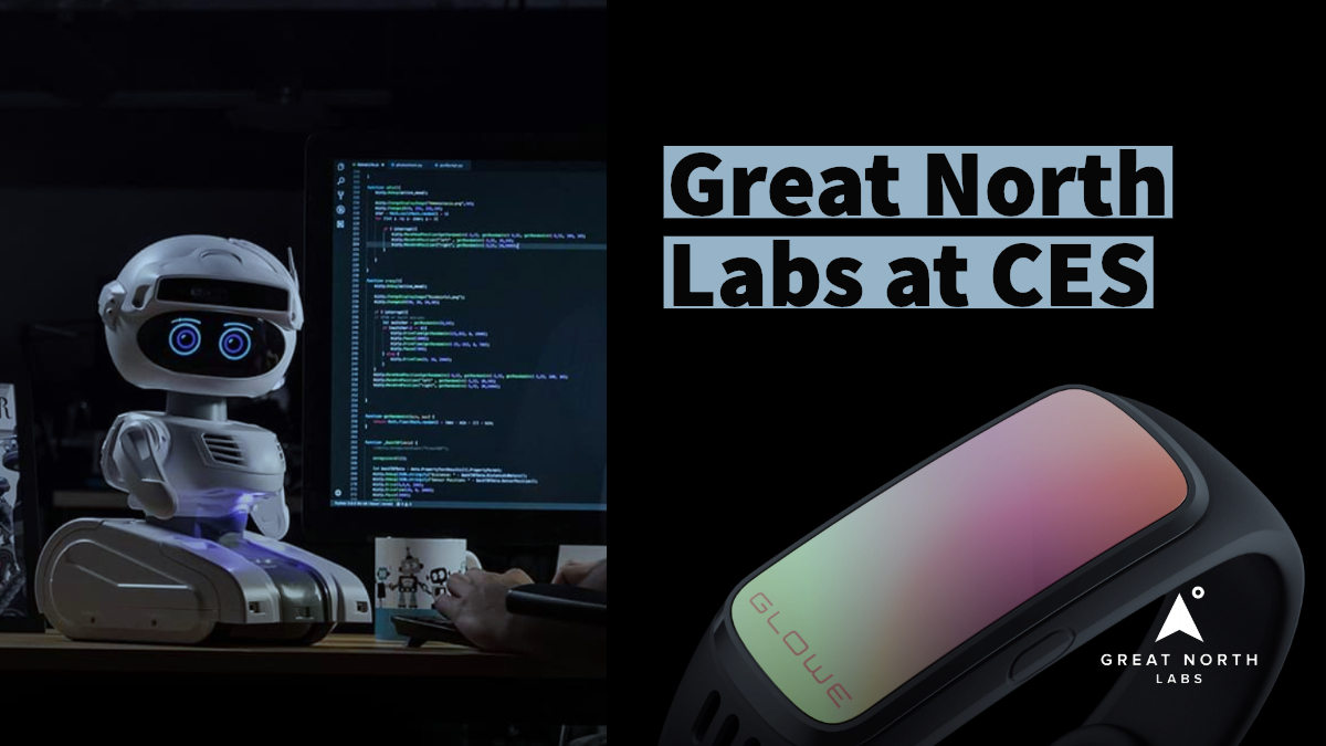 Great North Labs at CES